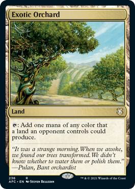 Exotic Orchard [AFC] 236