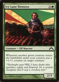 Ivy Lane Denizen [GTC] 125