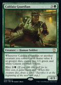 Caldaia Guardian [NCC] 56